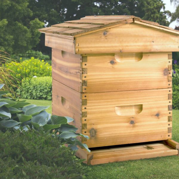 Cedar-backyard-Beekeepers-package